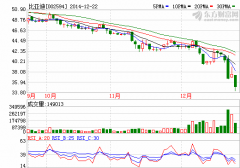 北京新能源车补助下降 比亚迪A股挫6.6%