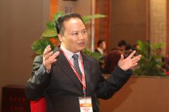 刘汉元：尽快减免分布式光伏发电增值税 简化审批