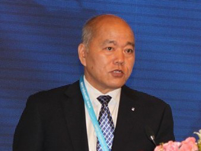 王斯成：能源革命 光伏将扮演重要角色