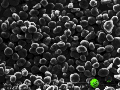 打造中国“石墨产业之都”的领军人