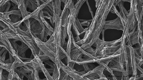美国马里兰大学研制出木质电池
