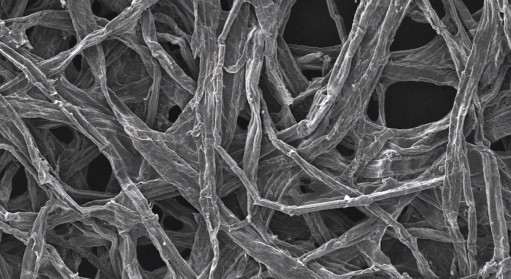 木质纤维的特写