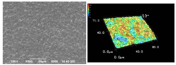 图3.ECC表面形态 