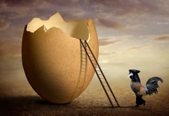 买了蛋就送鸡 电动车与充电桩一起卖破解充电难题