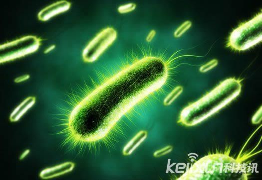 日本研发微生物燃料电池技术 或为可再生能源