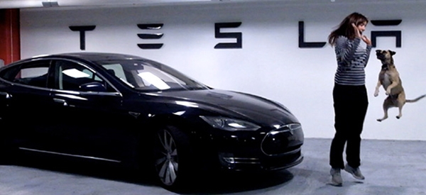 特斯拉：一家初创公司如何获得成功