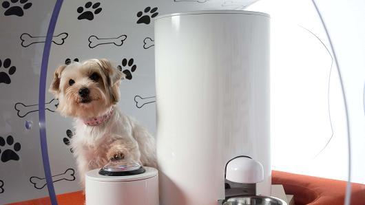 被苹果逼急了？三星推出3万美元高科技狗窝