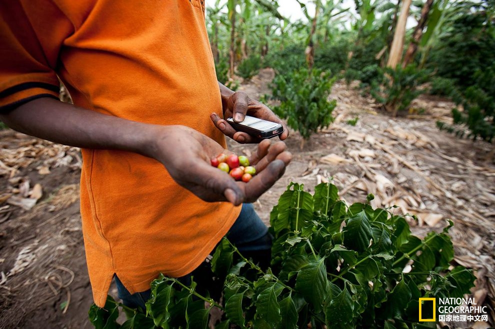 手机如何帮助解决全球饥饿问题？