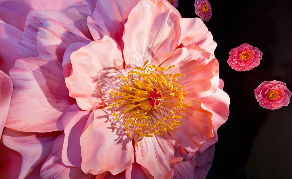 美到爆炸！苹果Apple Watch巨幅玻璃广告来了