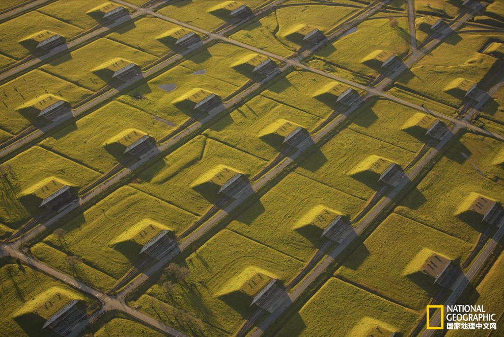 艺术感十足？新能源也可以美出新花样！pic