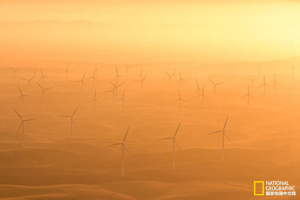 艺术感十足？新能源也可以美出新花样！pic