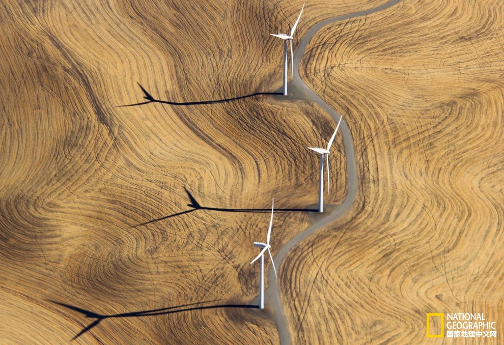 艺术感十足？新能源也可以美出新花样！pic
