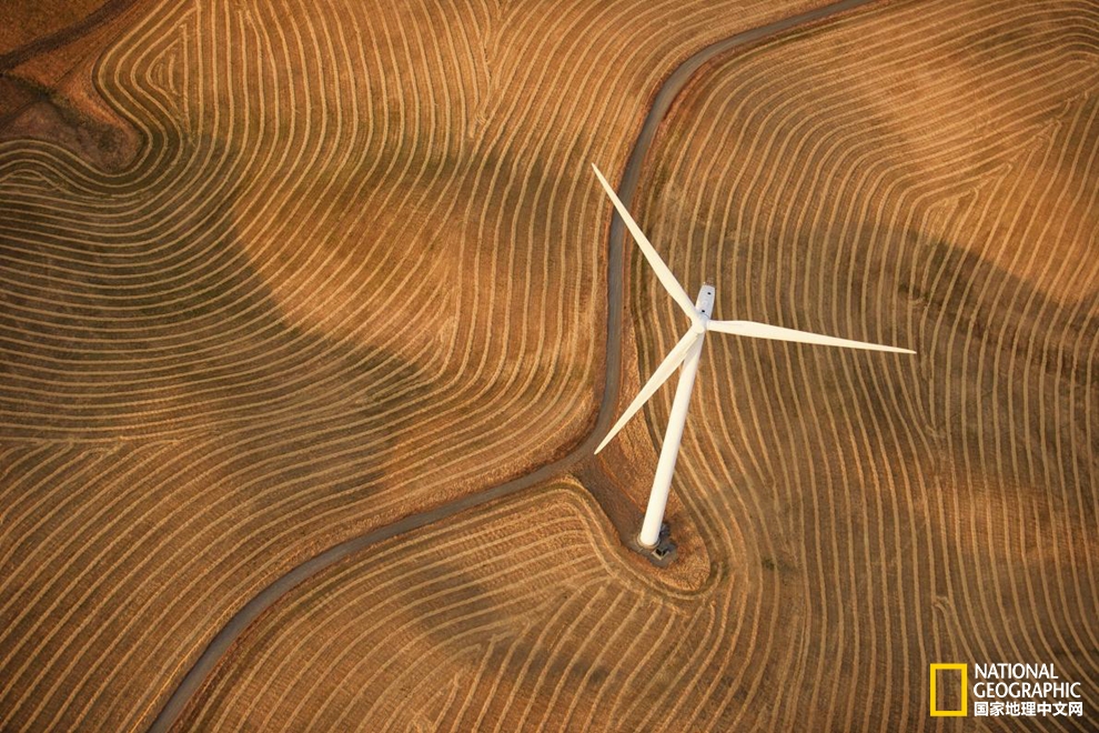 艺术感十足？新能源也可以美出新花样！pic