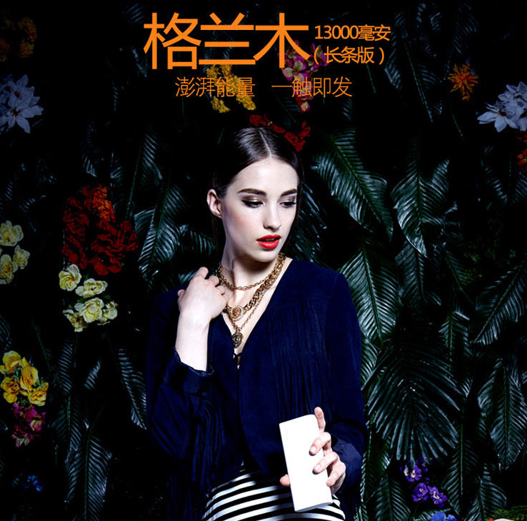 王者之芯&nbsp; 格兰木系列移动电源全明星阵容华丽首秀 