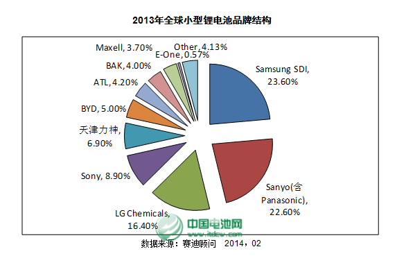 2013年全球小型锂电池品牌结构