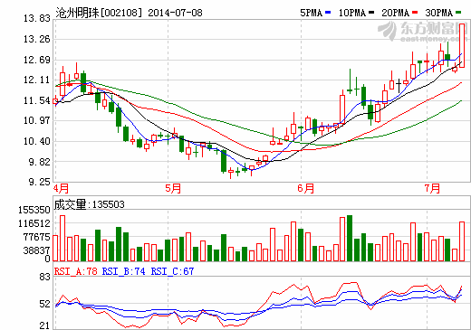 沧州明珠强势涨停 干法湿法锂电池隔膜产品扩产