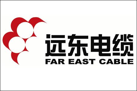 远东电缆：携手特斯拉 掘金新能源汽车市场