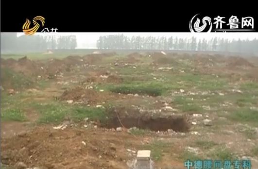 山东工业园违法占用耕地 镇干部变电池公司联系人