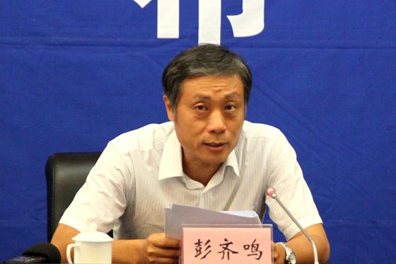 国土资源部地质勘查司司长彭齐鸣