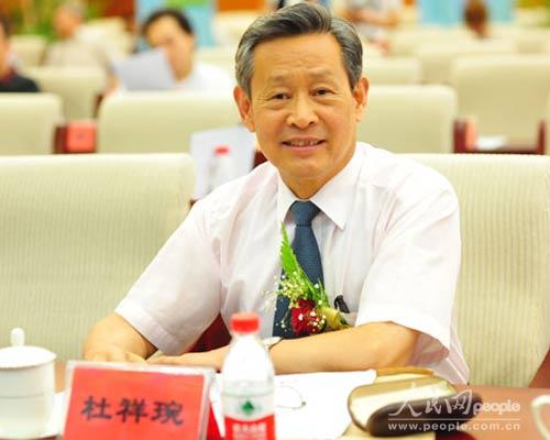 杜祥琬：新能源汽车的价值取决于电的“绿色化”