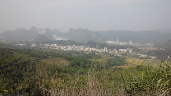 翁源铁龙林场突发群体性疾病，官方称是总大肠杆菌超标所致，医检检出15儿童血铅超标