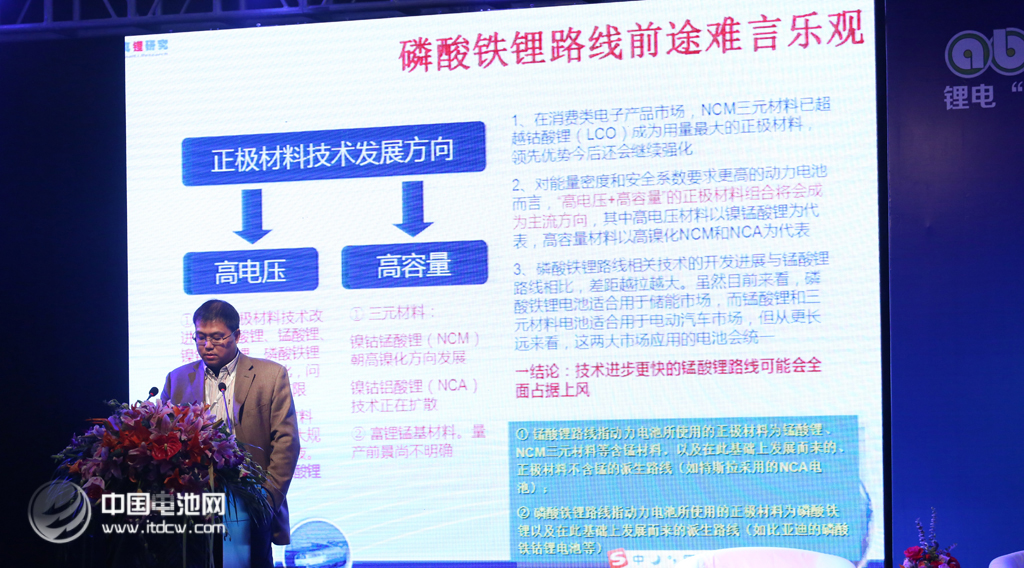 第二届锂电“达沃斯”学术委员会秘书长、真锂研究首席研究员墨柯
