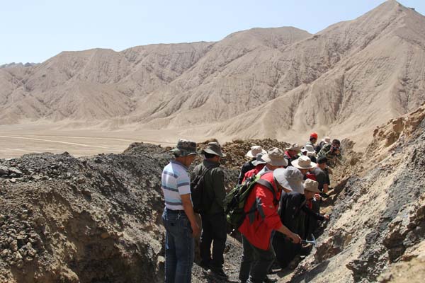 夏日哈木探明镍钴矿储量107万吨 有望成为中国新的镍都