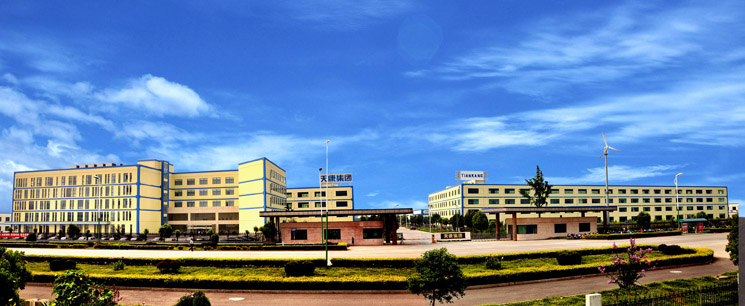 中国电池网率团参观考察安徽天康集团锂电新能源