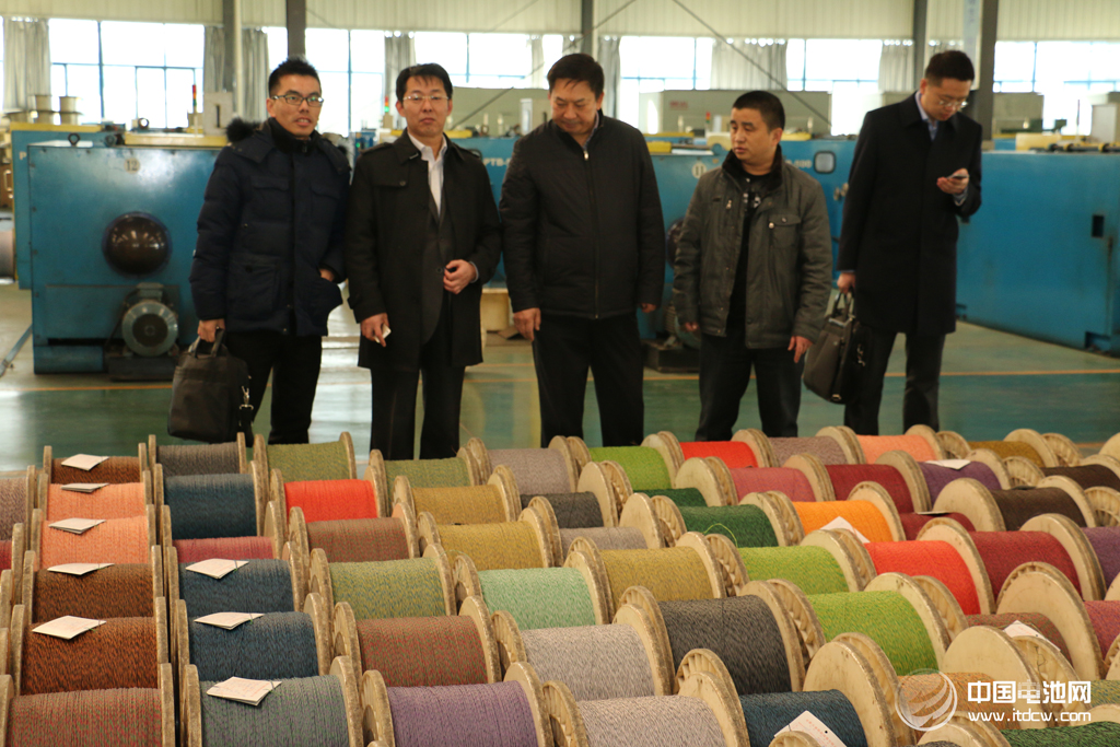 中国电池网率团参观考察安徽天康集团锂电新能源