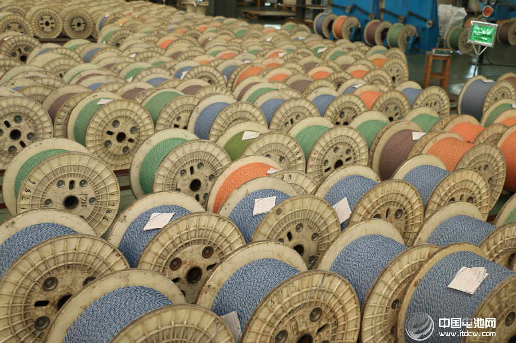 中国电池网率团参观考察安徽天康集团锂电新能源