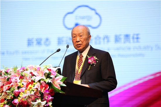 中国工程院院士杨裕生：低速电动车向何处去