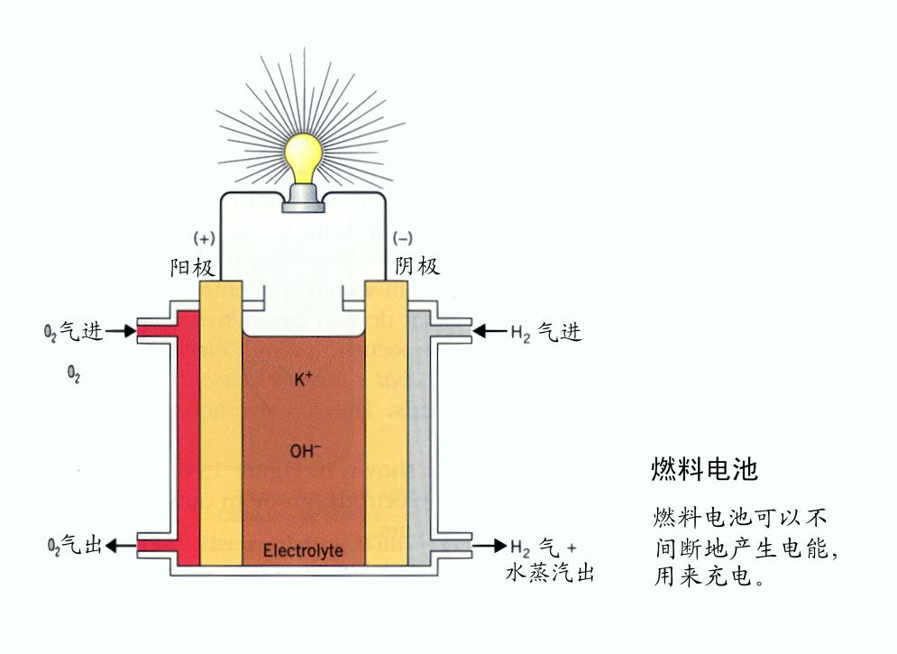 新研究揭示细菌酶制取甲酸机制 可用于造燃料电池