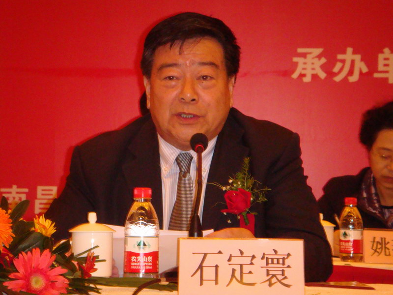 中国可再生能源学会理事长石定寰