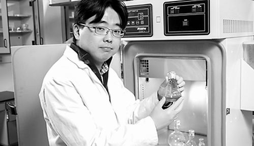 新型生物太阳能电池效率倍增