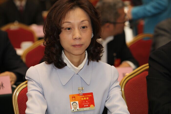 王麒：推行新能源汽车不限牌并减免过路费等