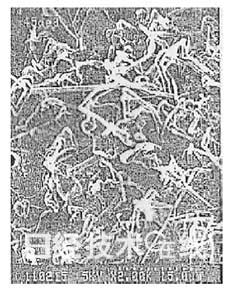 锂电池开发史（1）：锂电池摆脱三重苦即将登场