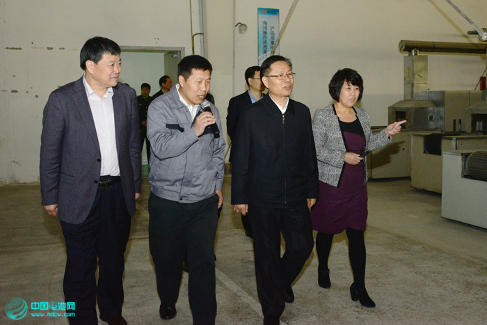 天津滨海新区区委书记宗国英视察天津斯特兰