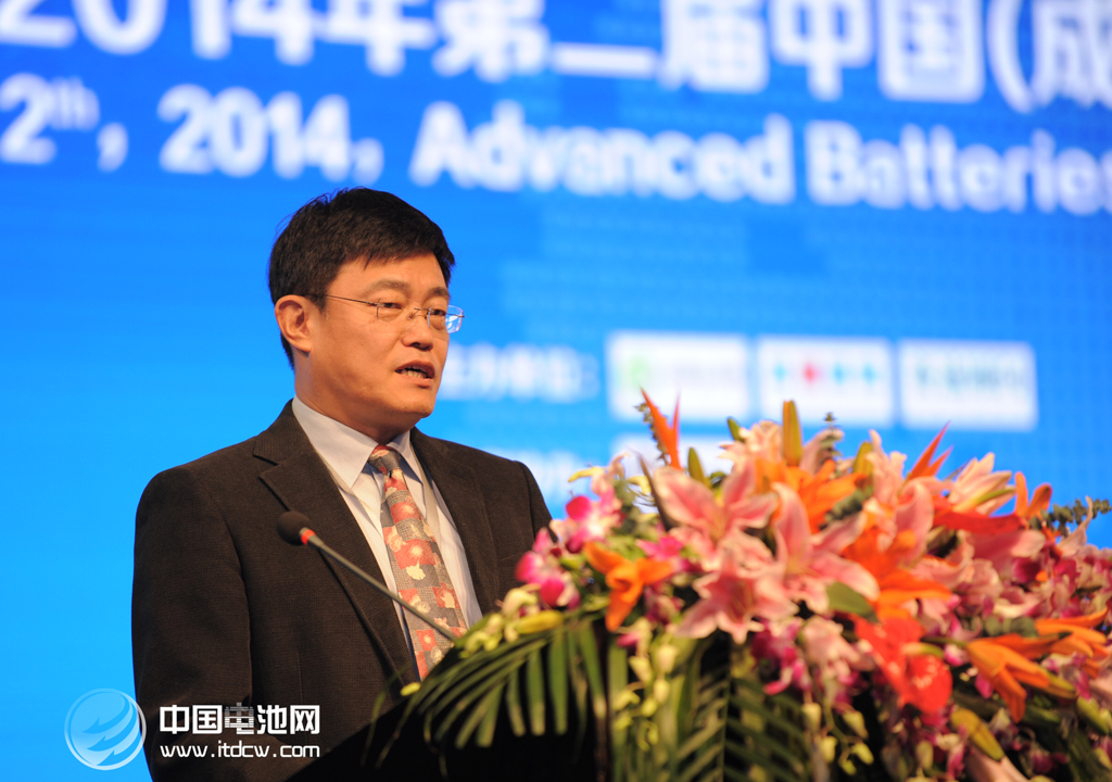 王子冬 中国电池网资料图片