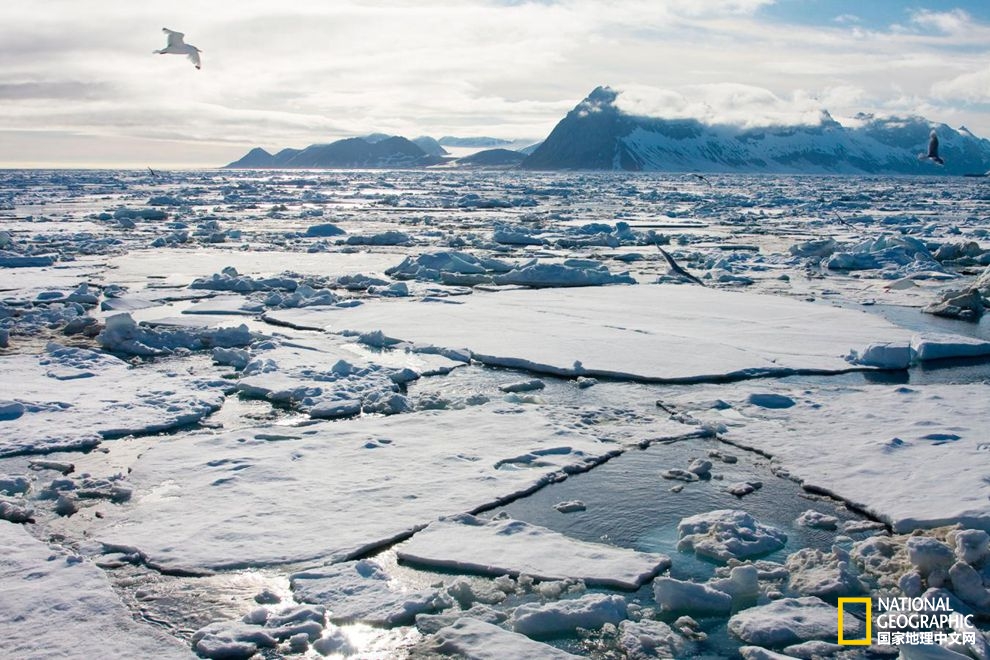 全球变暖中断之谜