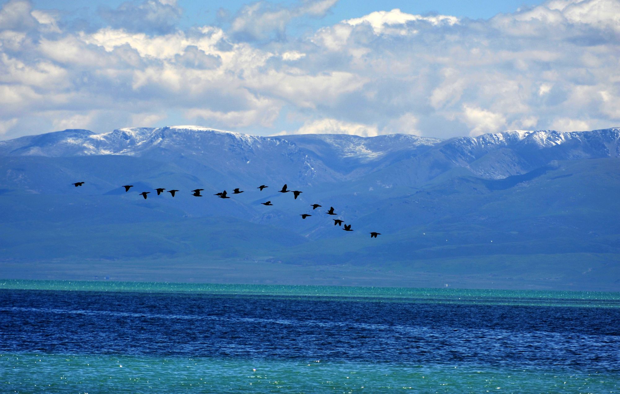 追溯锂产业成长发展 全国首个锂产业展览馆落户青海