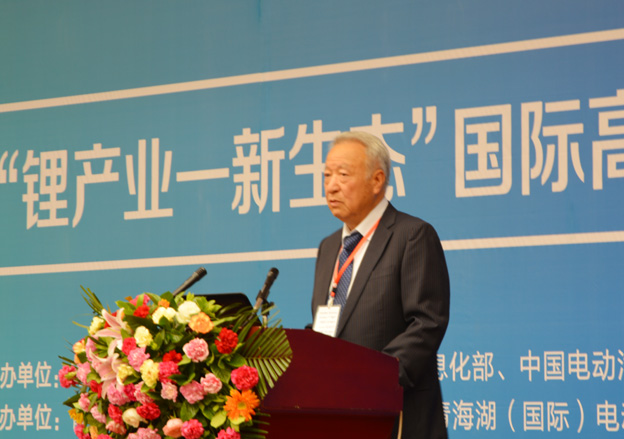 全国清洁汽车行动协调小组专家组组长王秉刚