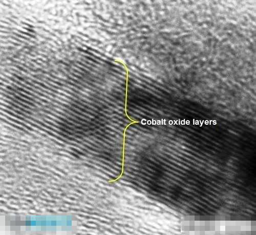 图九　显微镜下的氧化钴阴极层