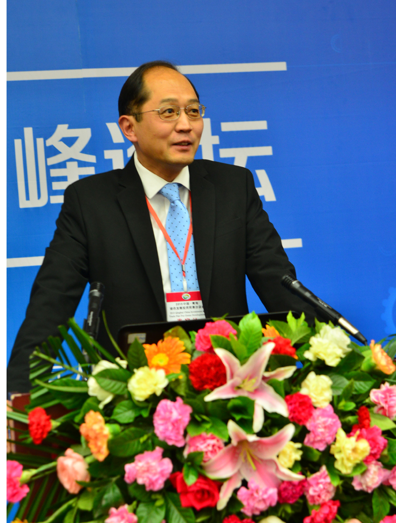 青海泰丰先行锂能科技有限公司首席技术官 高 原