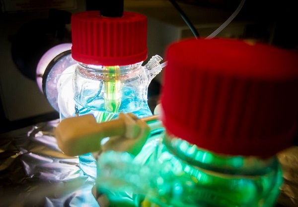 德国研制新光电化学电池  可长期储存光电子能量