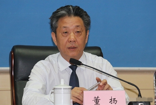 董扬：政策稳定是新能源汽车逆势增长重要原因