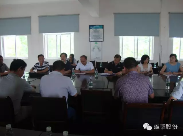 湖北雄韬二期项目开建 年产铅酸电池将达275万千伏安时