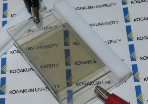 日本工学院大学：半透明锂电池 窗户可作太阳能电池