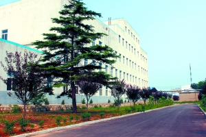 山东稀土产业缘何后来居上？储量虽少 附加值高