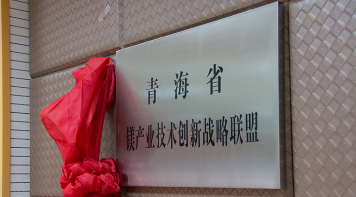 青海成立锂镁产业技术创新战略联盟 提升竞争力