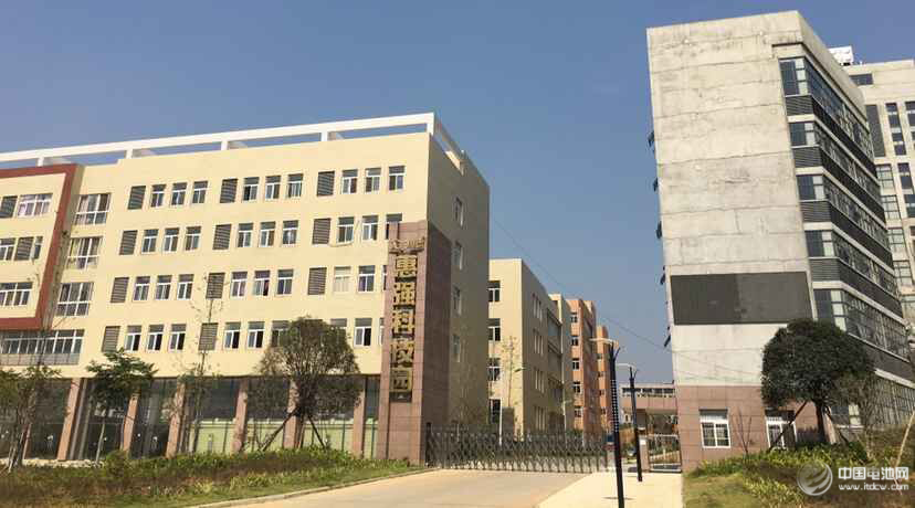 锂电“达沃斯”组委会学术委员会一行调研惠强新能源